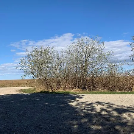 5 Person In * Hemmet