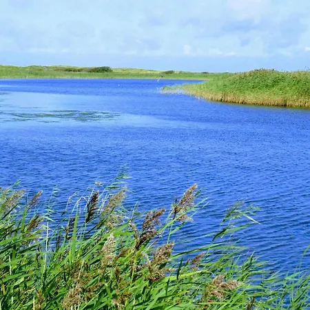 5 Person In * Hemmet